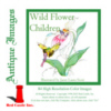 Wild Flower Children      